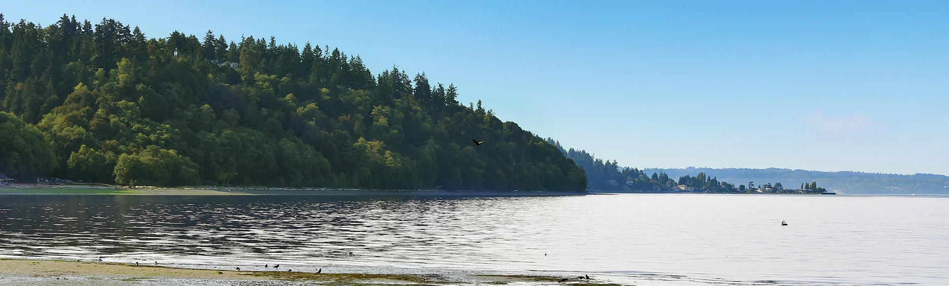 Private beach with Puget Sound view, Burien, WA
