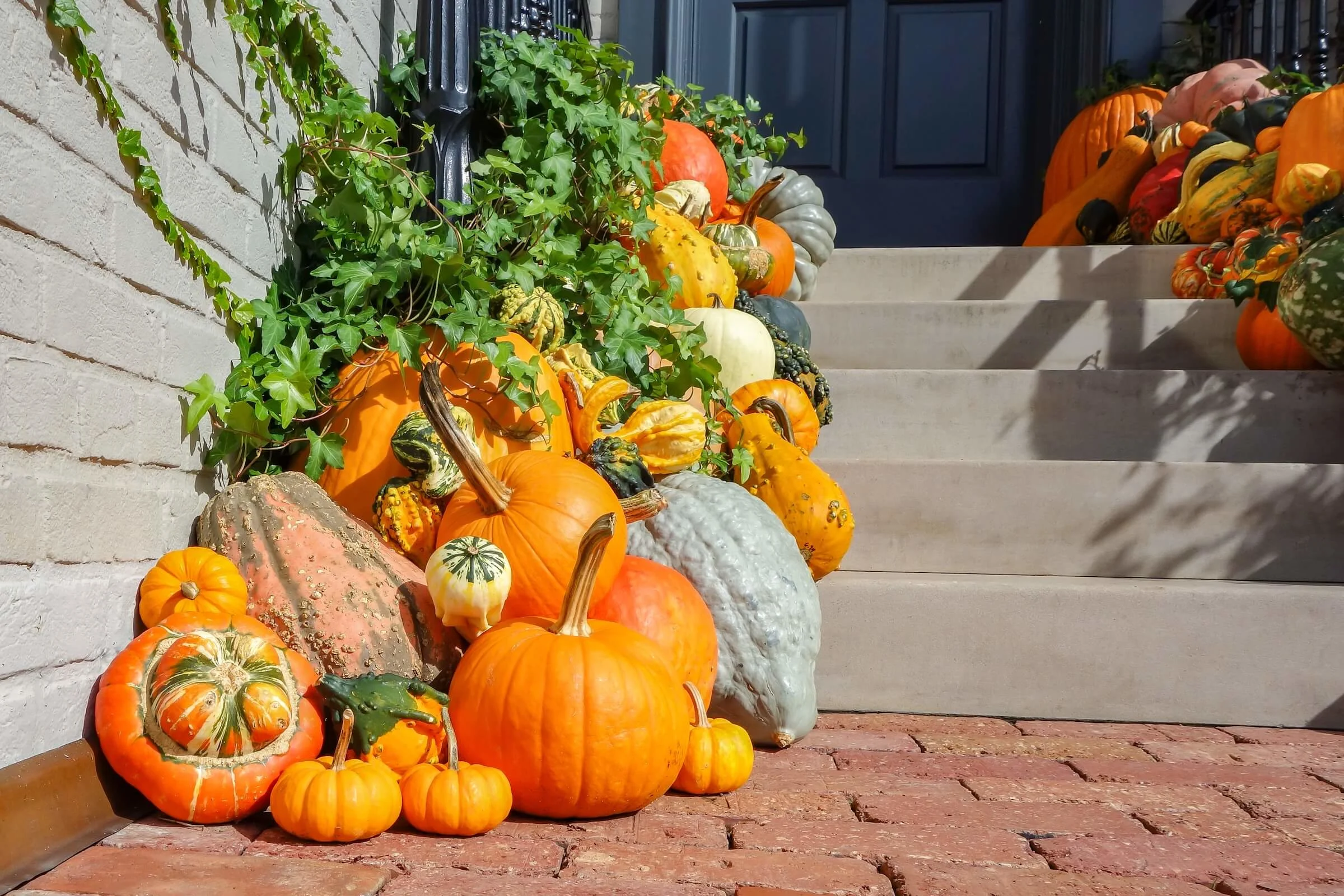 Brightly colored pumpkins create Halloween and fall decor on front entry