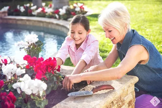 planting flowers