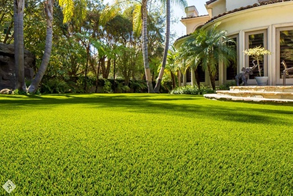 turf backyard