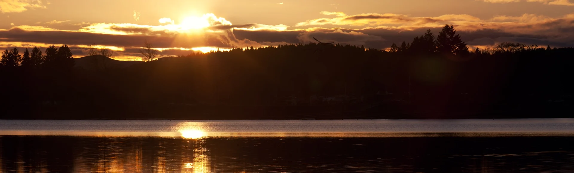 A skein of geese flies over a wildlife reserve at sunset in the Willamette Valley of Oregon.