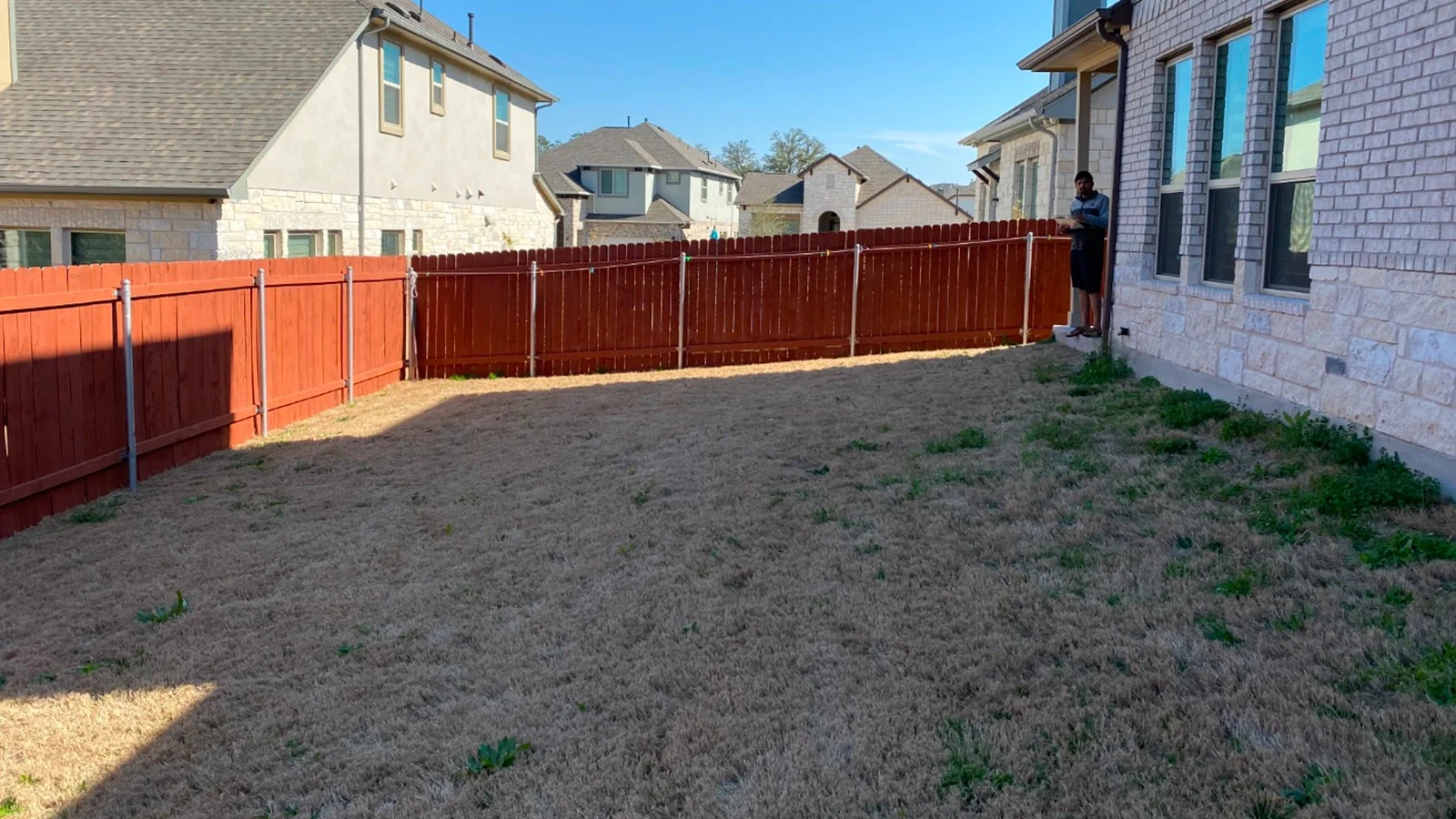 Barren backyard with brown grass