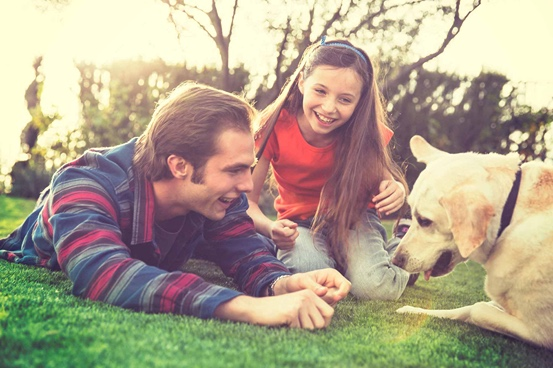 dog on grass