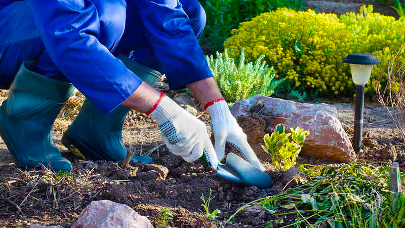 gardening