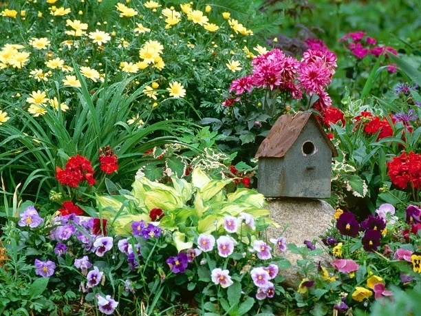 bird house and flowers