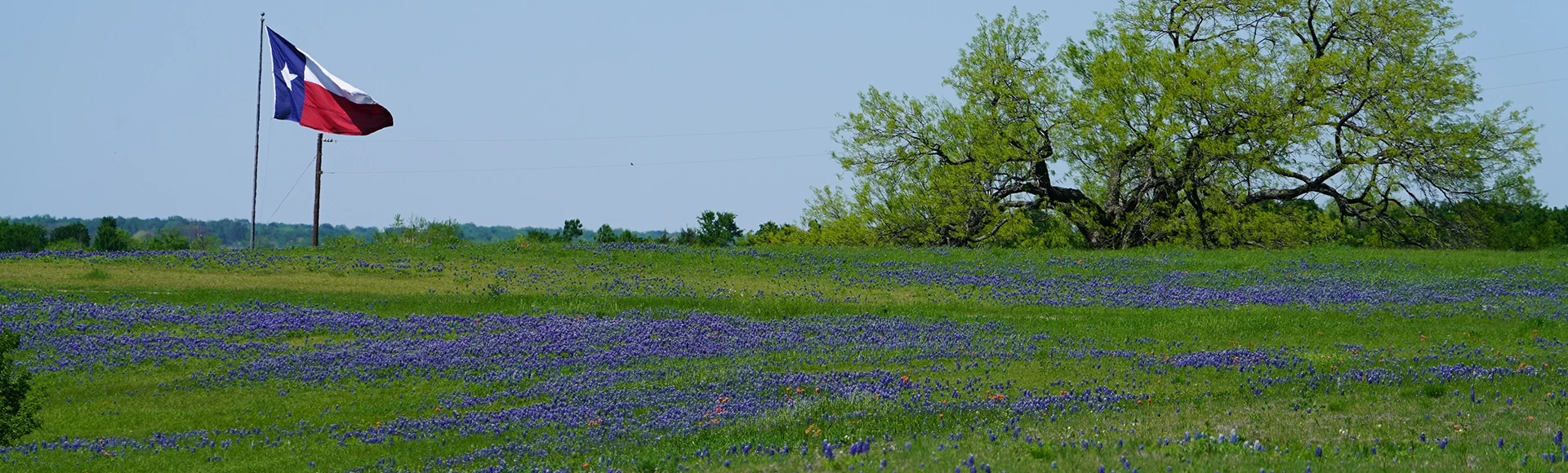  Brazoria County, Texas