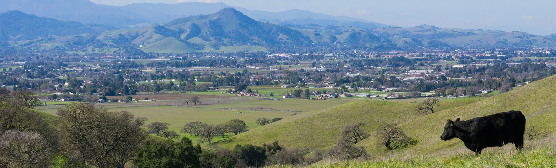 View towards Morgan Hill from Coyote Lake - Harvey Bear Park, California