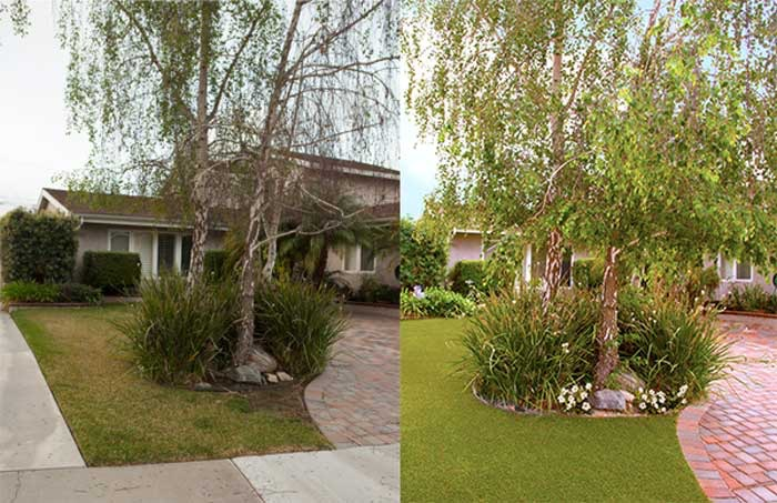 before and after turf