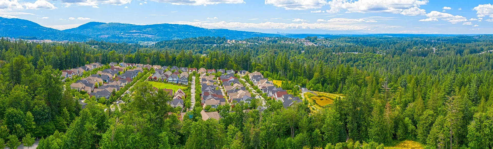 Suburban Housing Development Aerial View in Forest Environment Issaquah Washington USA