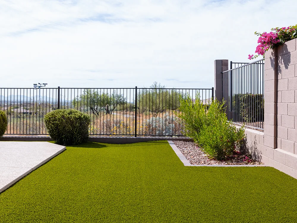 Turf Backyard with paving stones