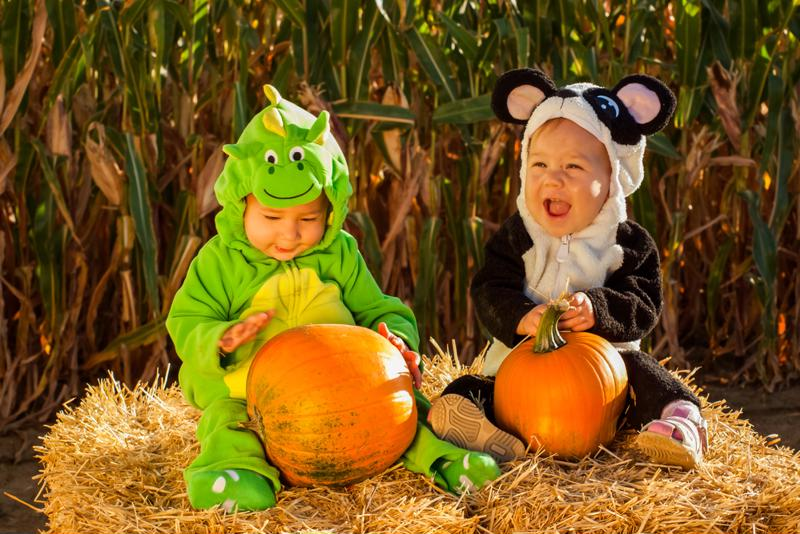 babies in halloween costumes