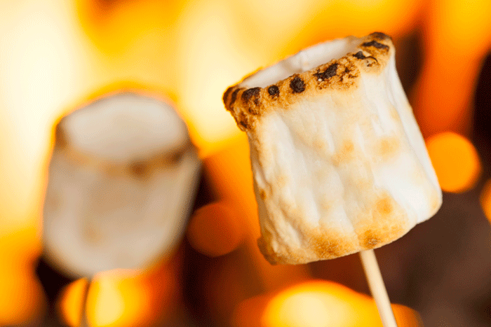 roasting marshmallows