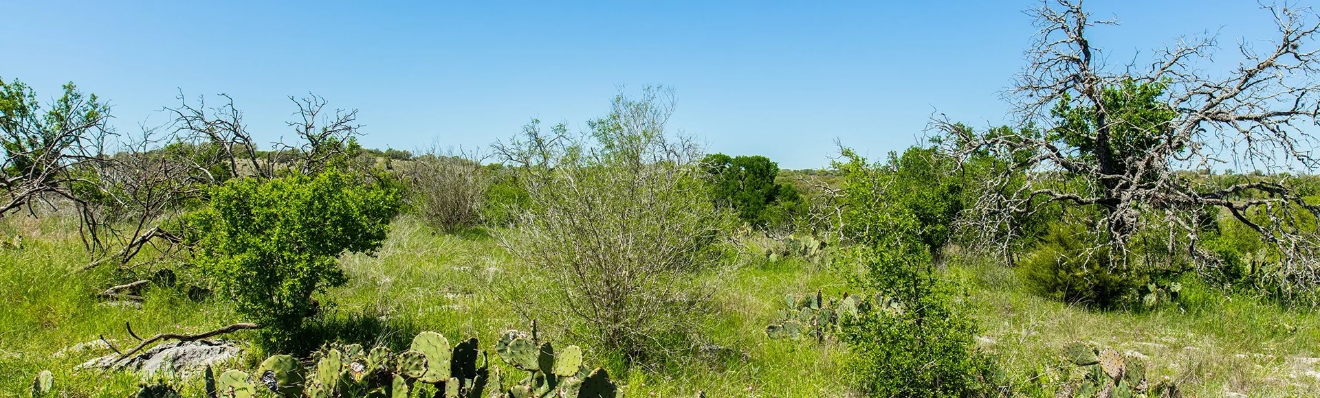 Texas Hill Country
