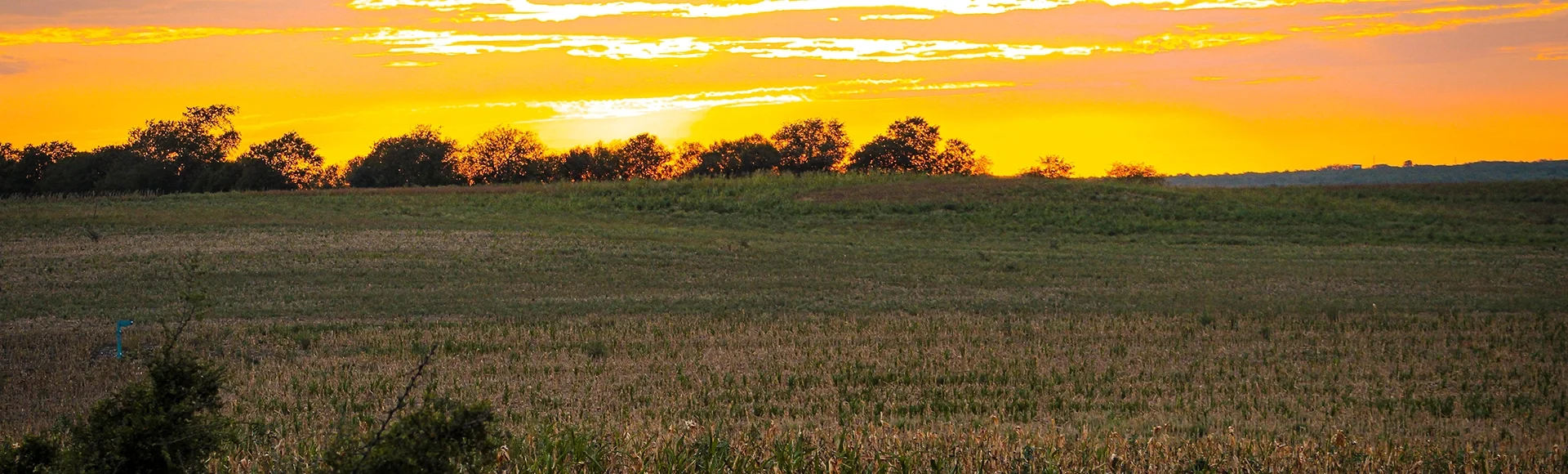 Sunset over cut cotton field Lacoste Texas from locomotive train in the evening
