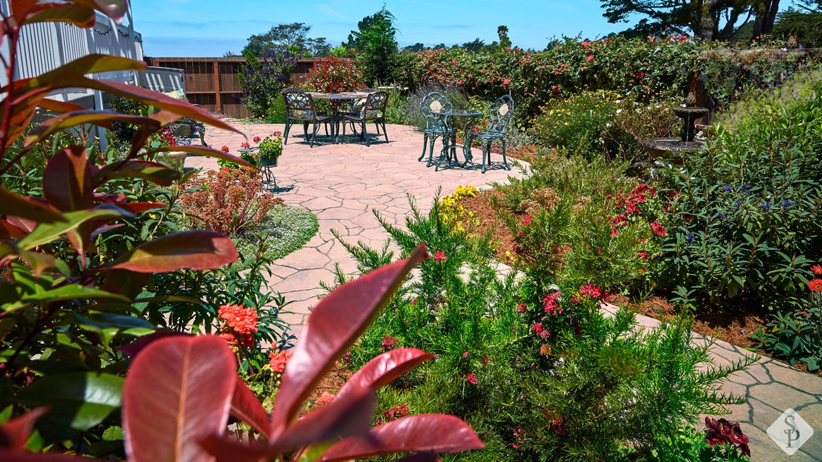 patio with plants