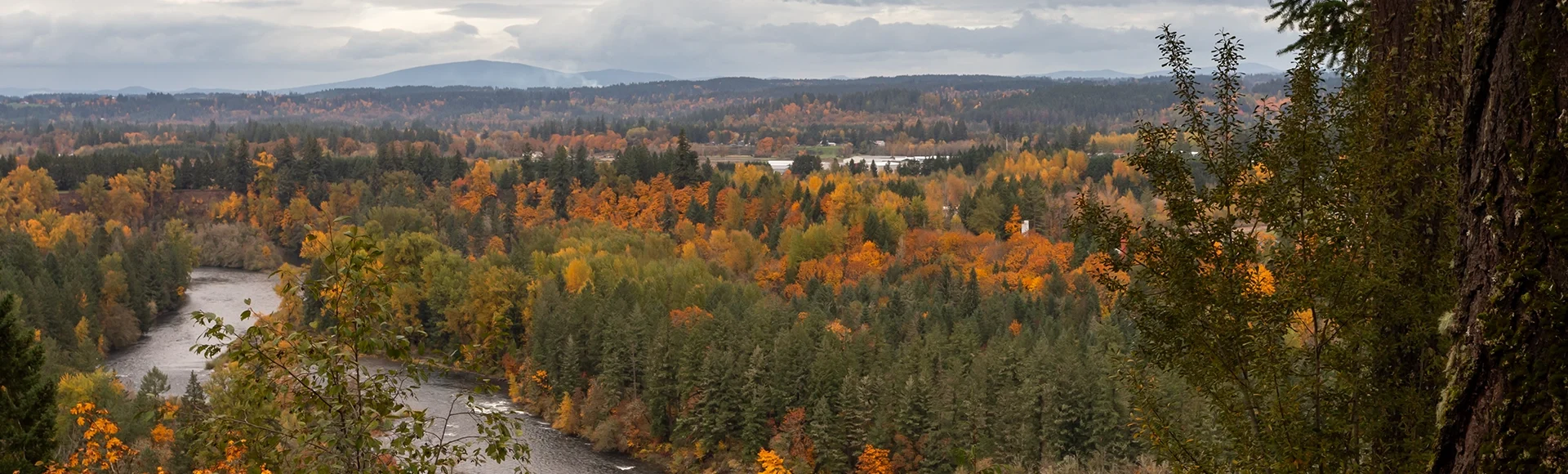Clackamas River in autumn season, view from above