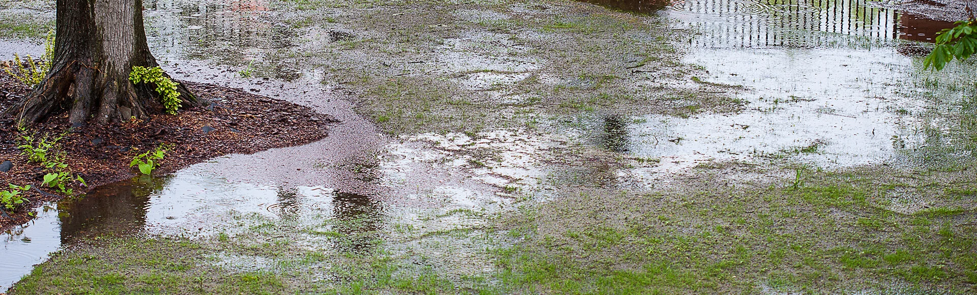 Muddy yard with drainage issues