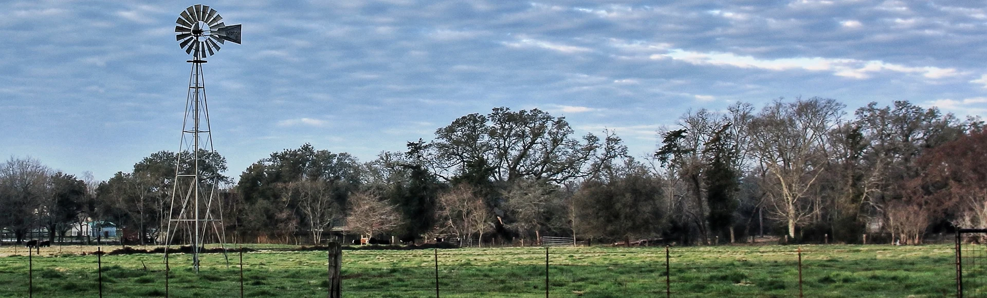 Tomball Texas Sunrise Windmill