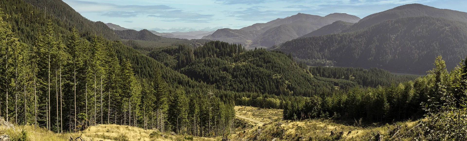 Panoramic view of the mountains and valley near Merrill Lake at Rd81 at Cowlitz county, Washington, USA.