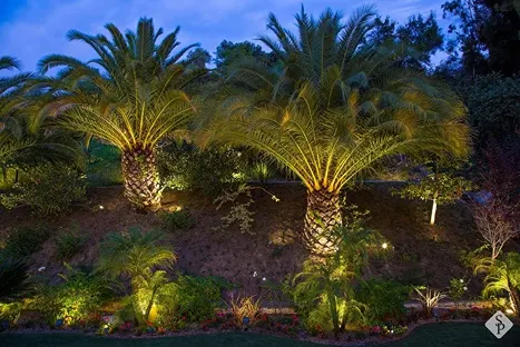 landscape lighting