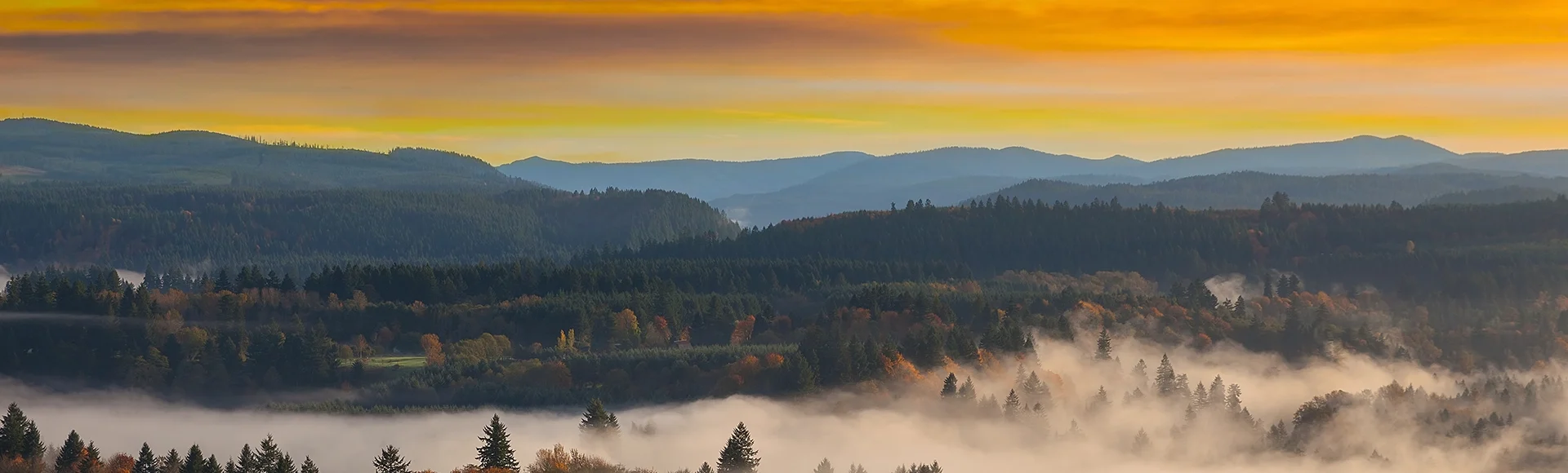 Rolling fog along Sandy River Valley in Clackamas County Oregon during sunrise