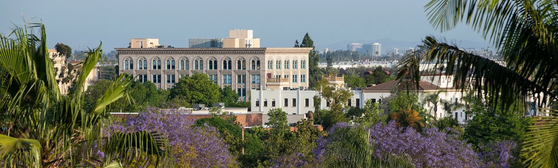 Afternoon view of the blooming jacarandas and skyline of historic downtown Fullerton, California, USA.