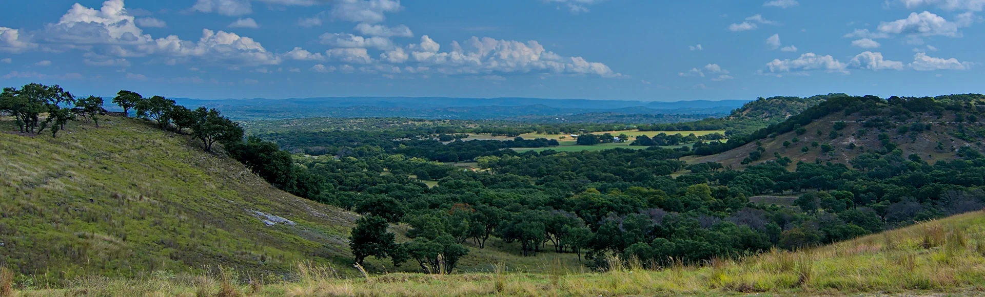Rolling hills wine country central texas with lush green grasslands and forests with puffy white clouds in a blue sky on hot summer day.