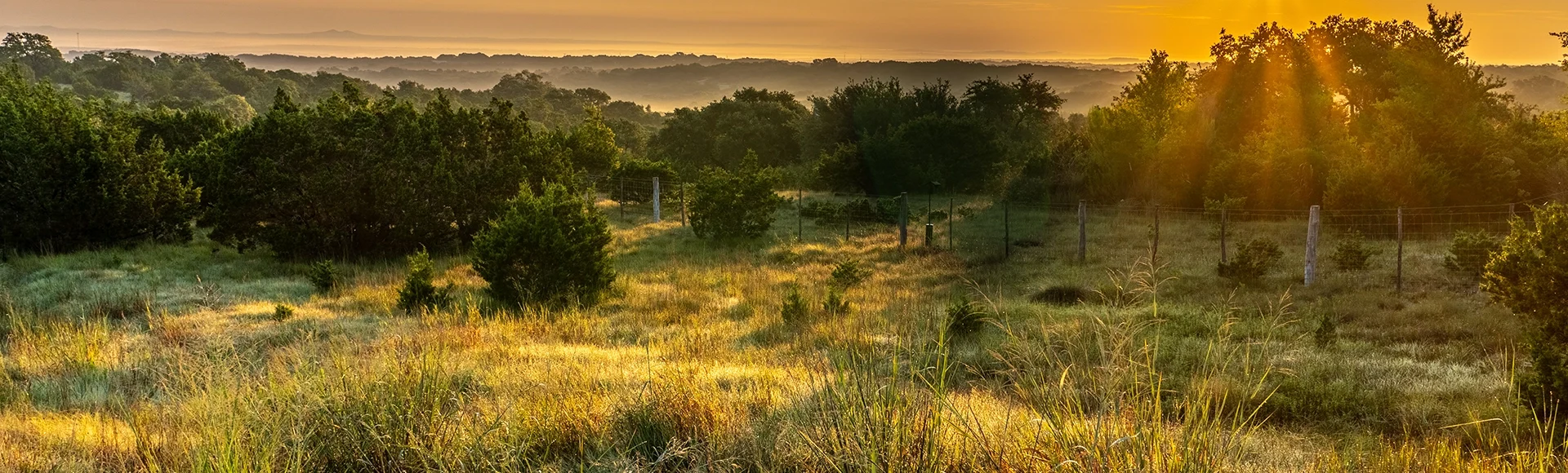 A field with overgrown grass, bushes, wire fence and small trees in a hilly terrain illuminated by the warm early sunrise, Hill Country, Texas