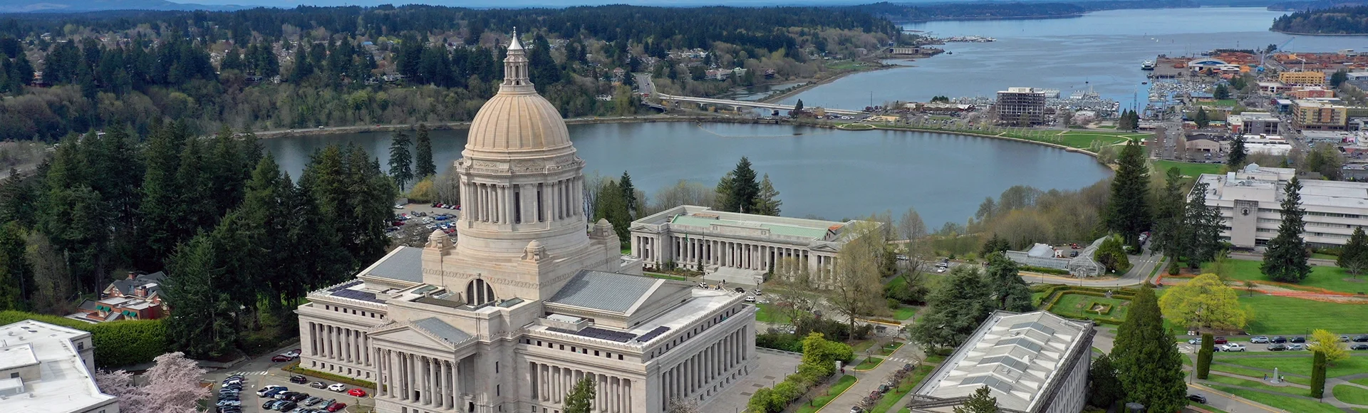 Spring Cherry Blossoms at the State Capital Building in Olympia Washington