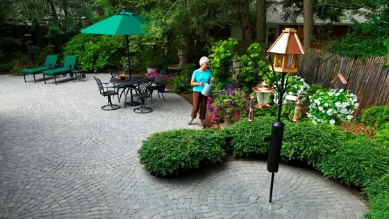 paver patio with birdhouse