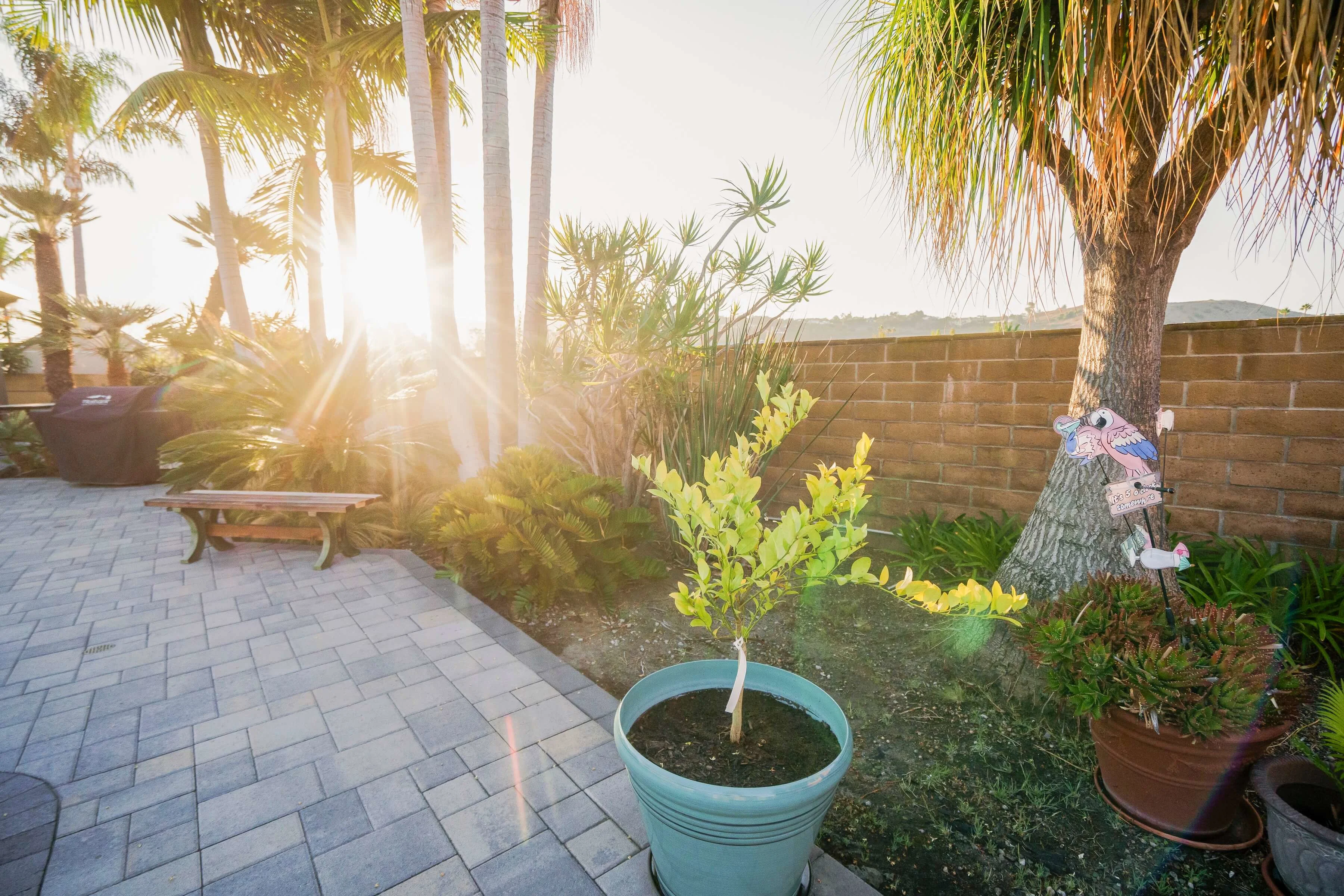 Paver patio at sunset