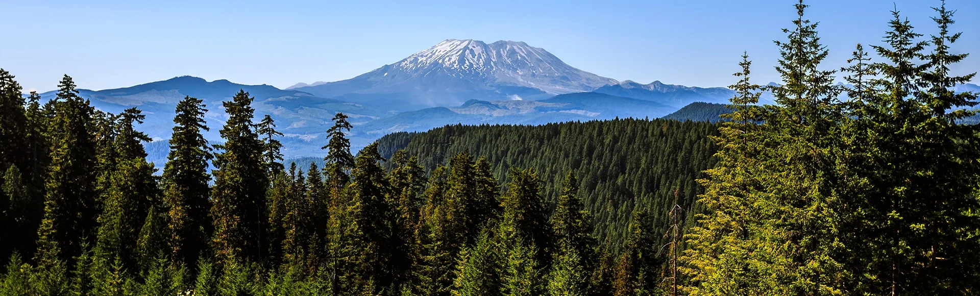 Mt St Helens Viewpoint, McClellan Overlook, Washington

