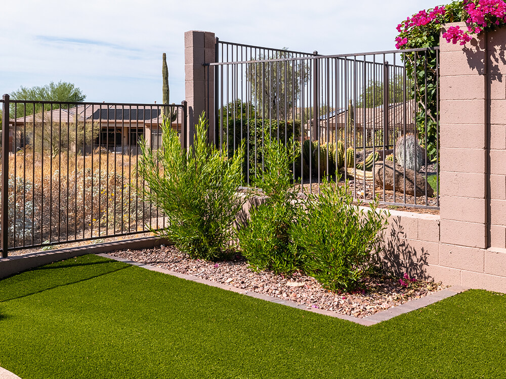 Turf and hardscape with landscaped bushes in Arizona