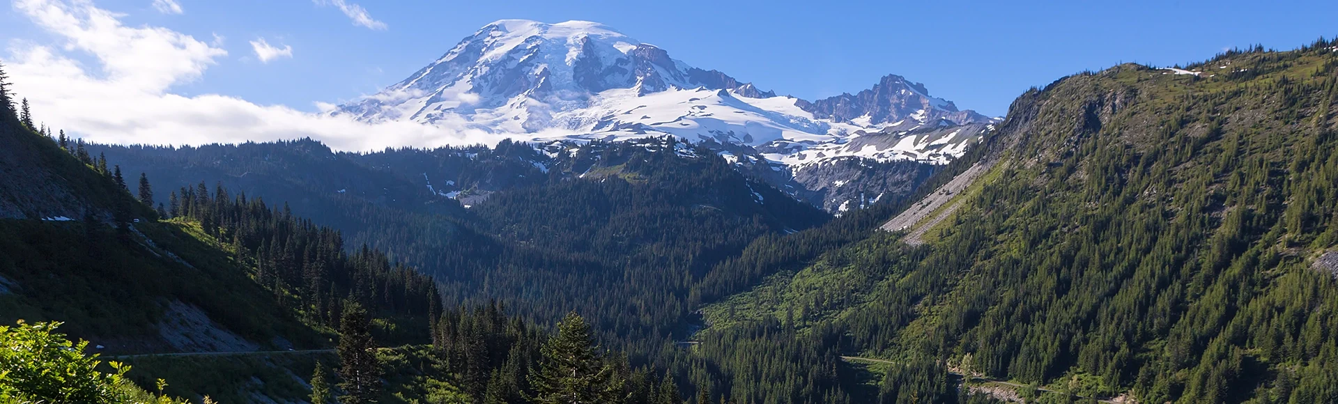 Mount Rainier from Scenic Viewpoint

