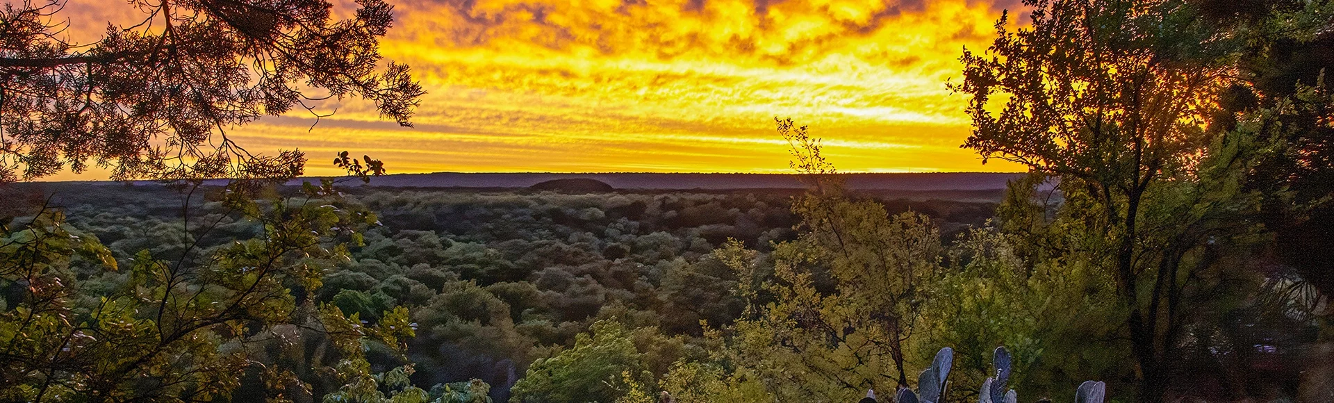 Texas hill country at sunset