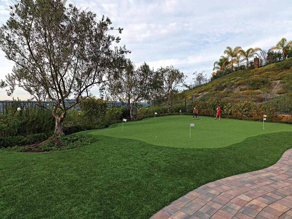 Putting green turf, stone paver walkway