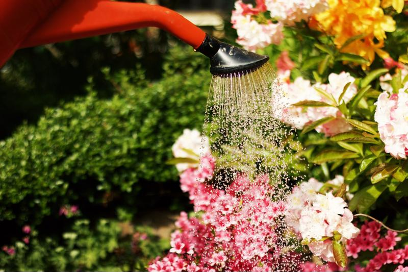 watering can