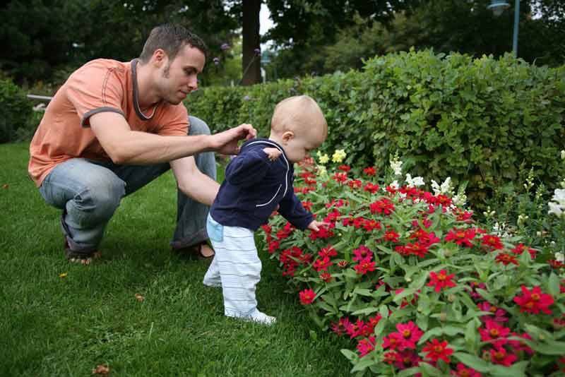kid picking flowers