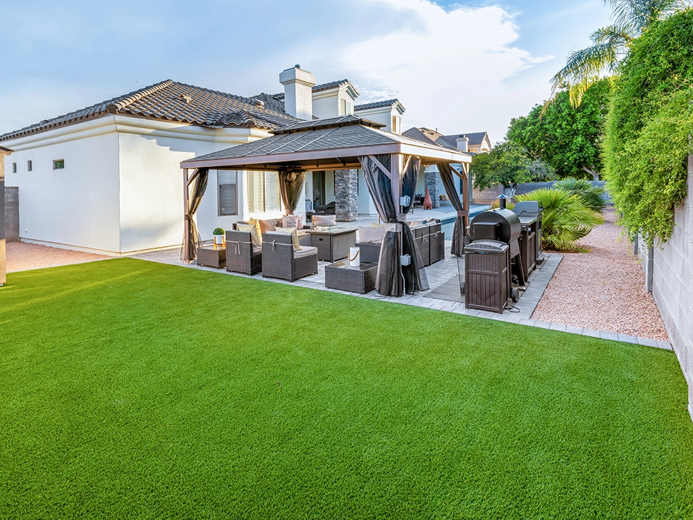 Large turf lawn by a pool in Arizona. 