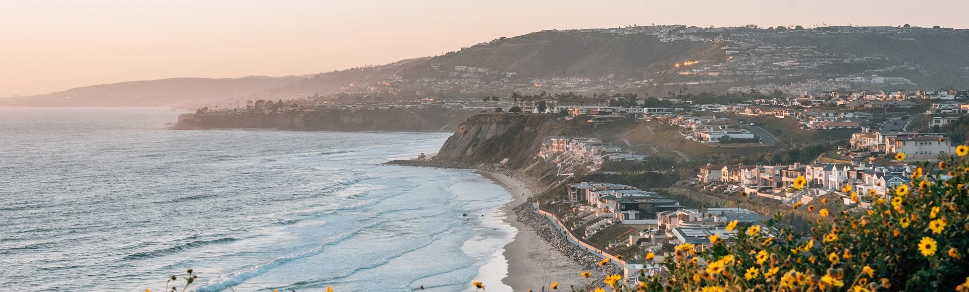 Yellow flowers and view of Strand Beach from Dana Point Headlands Conservation Area, in Dana Point, Orange County, California