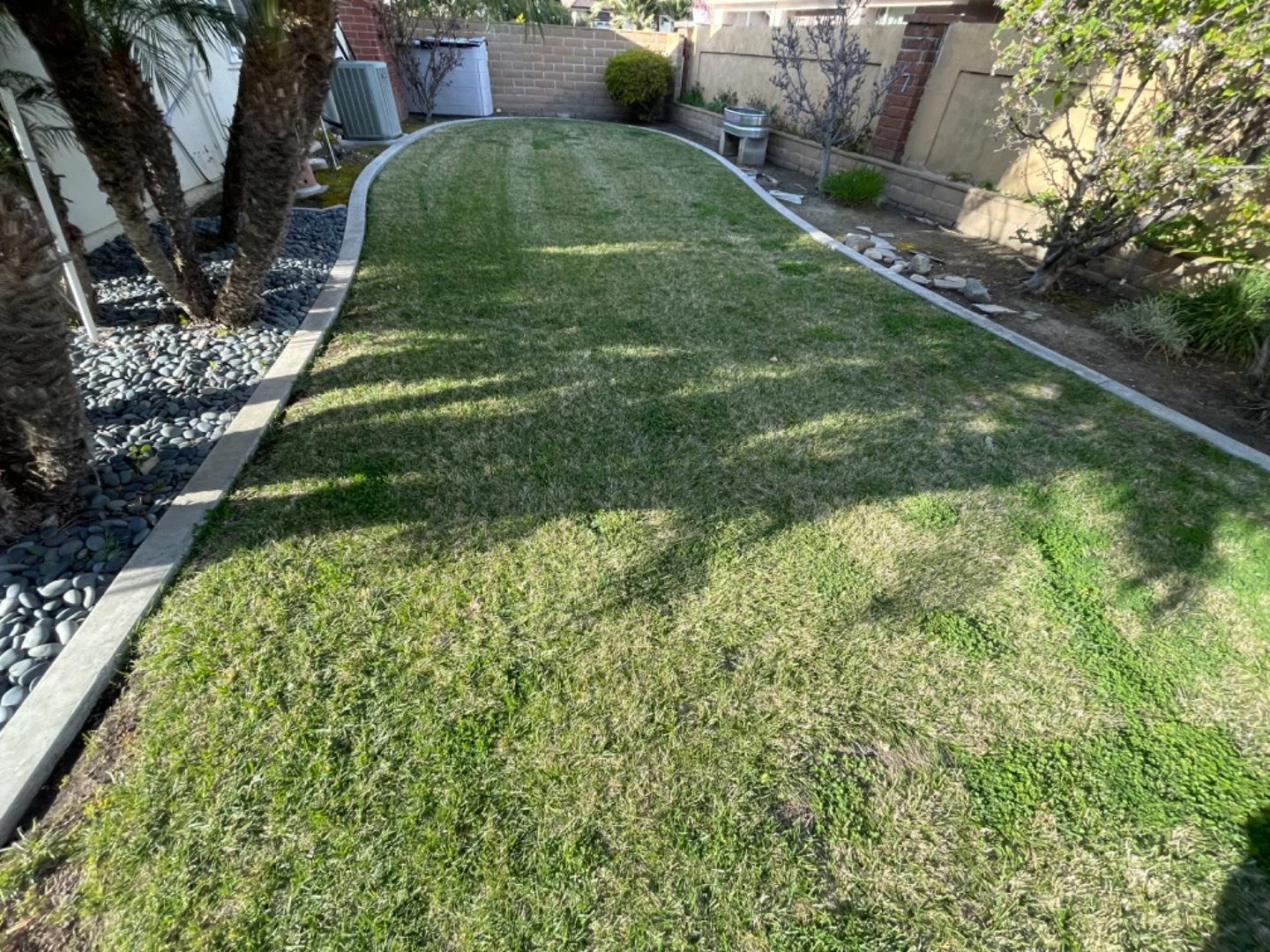 Putting green area before turf upgrade