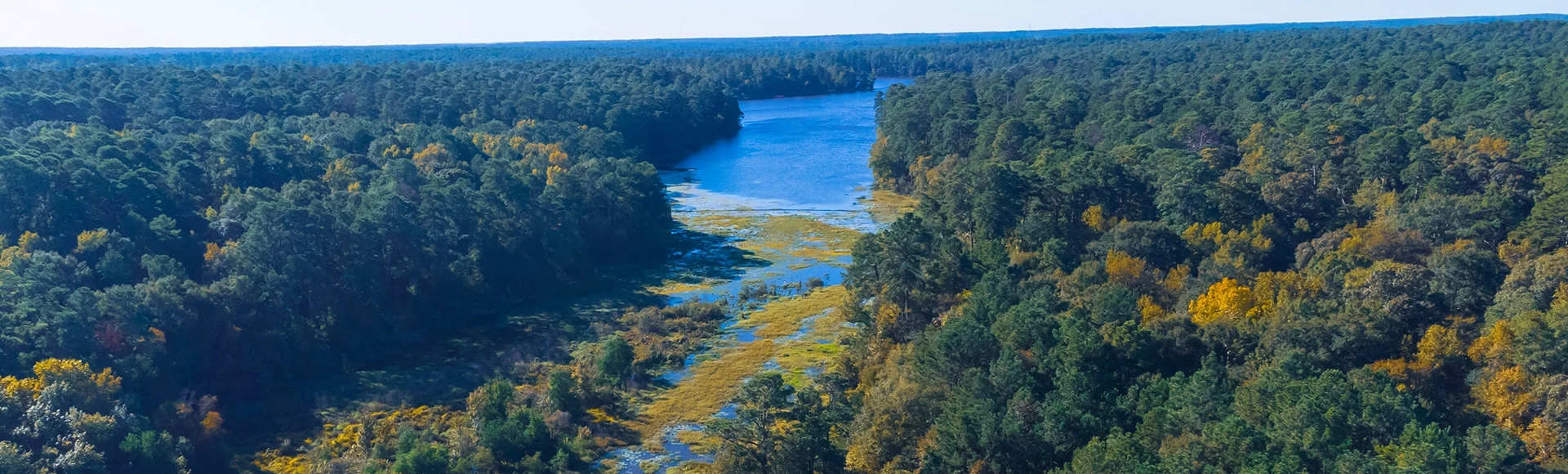 Huntsville State Park photos with HD quality - Texas State Parks, USA