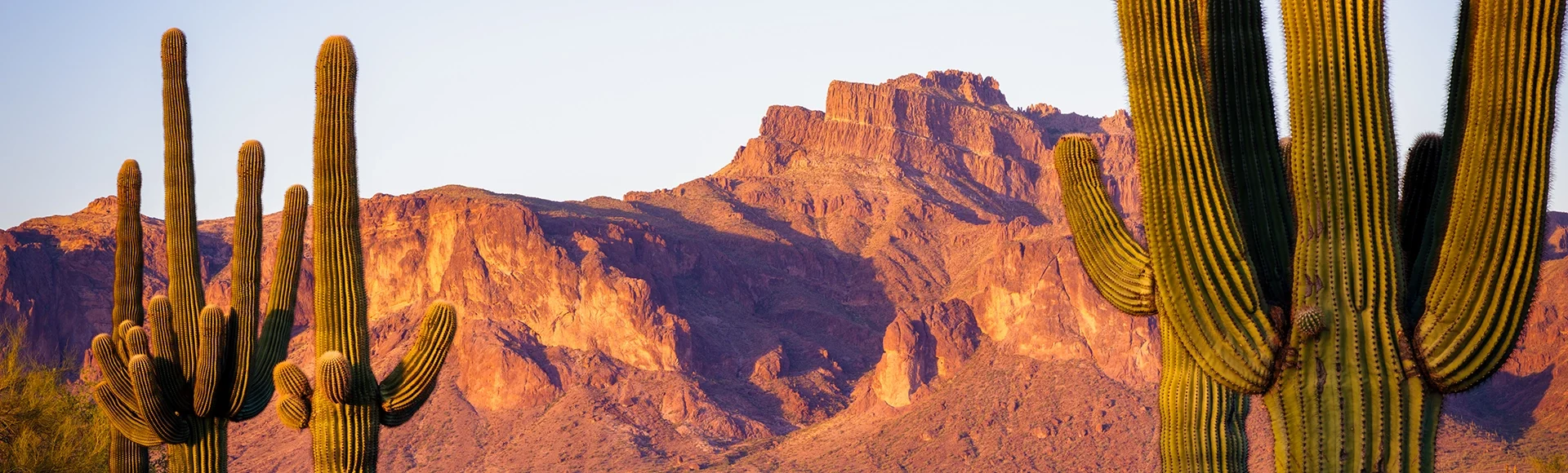 Cougar shadow in the Superstition Mountains, Apache Junction, Arizona.