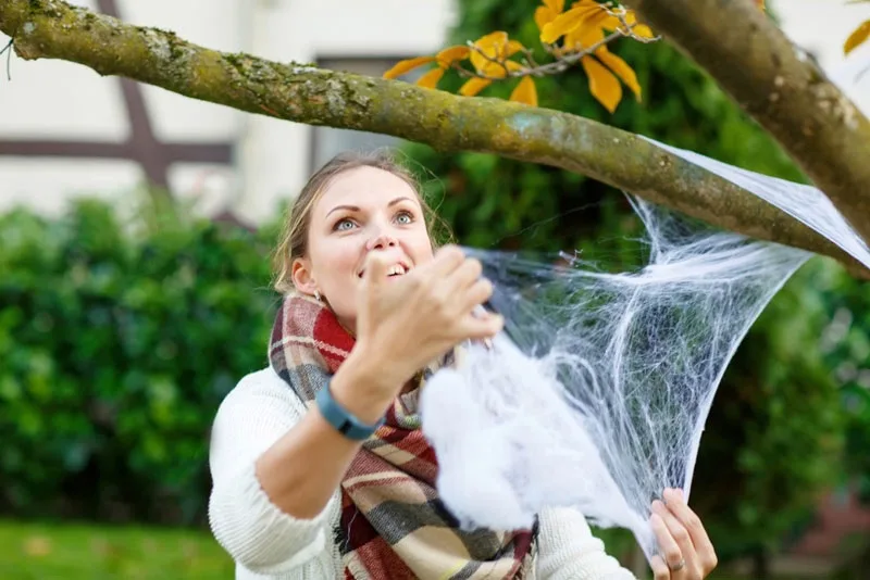 LADY WEBBING TREE