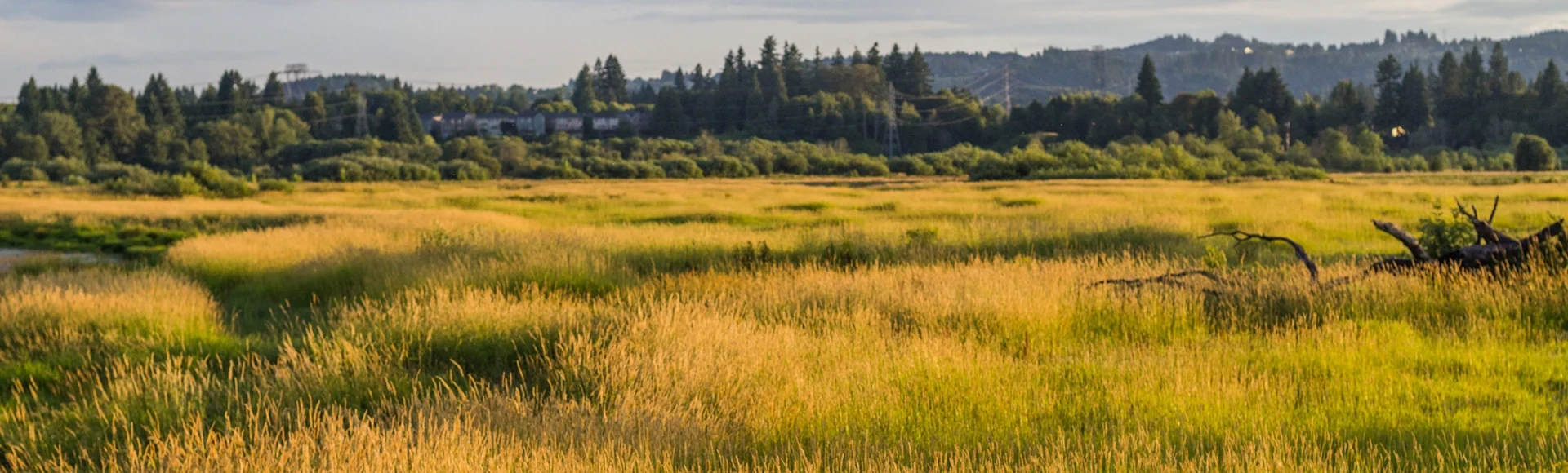 Tualatin River National Wildlife Refuge