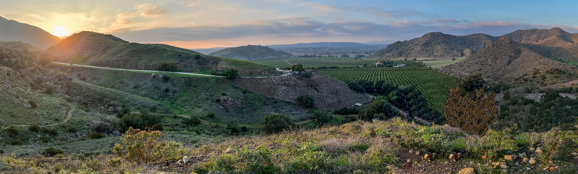 Panorama of hills, mountains, green valleys with citrus orchards and farming fields as the sunsets in southern California countryside