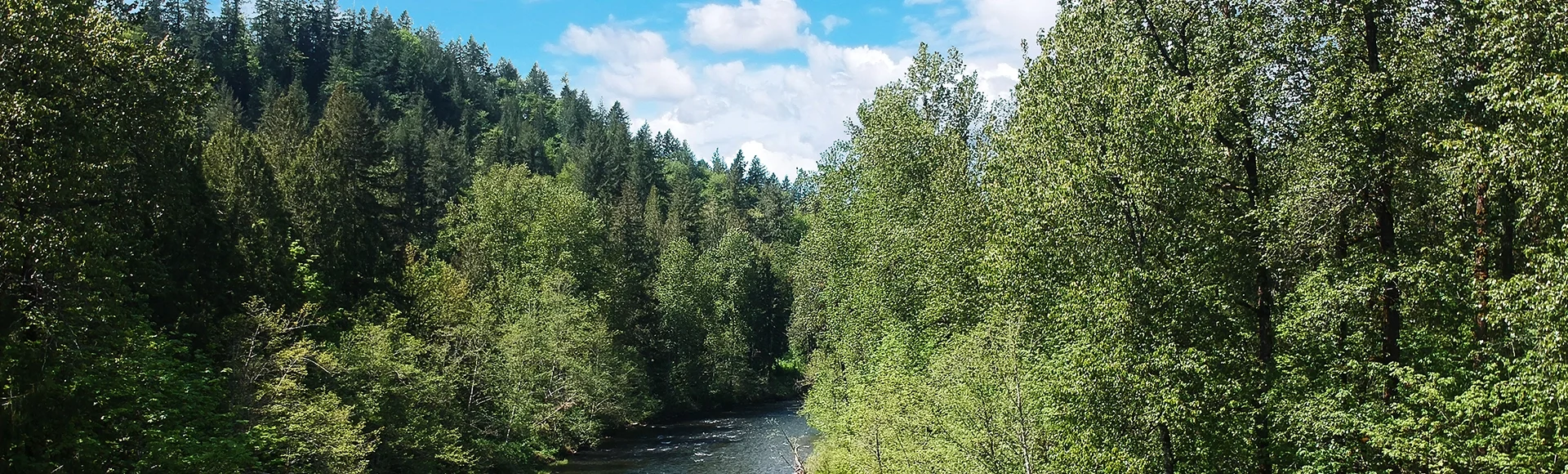 Aerial photography of Flaming Geyser State Park and the Green River on a partly cloudy summer day in Auburn Washington State