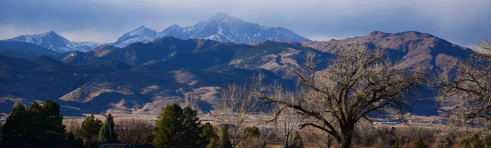Panoramic view of long's peak and cottonwood trees on a winter afternoon from the teller farms trail, in eastern boulder county, colorado
