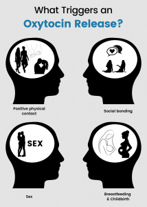 Do Dogs Produce Oxytocin