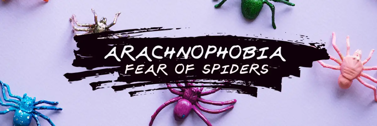 Arachnophobia: Fear of Spiders and How to Overcome It